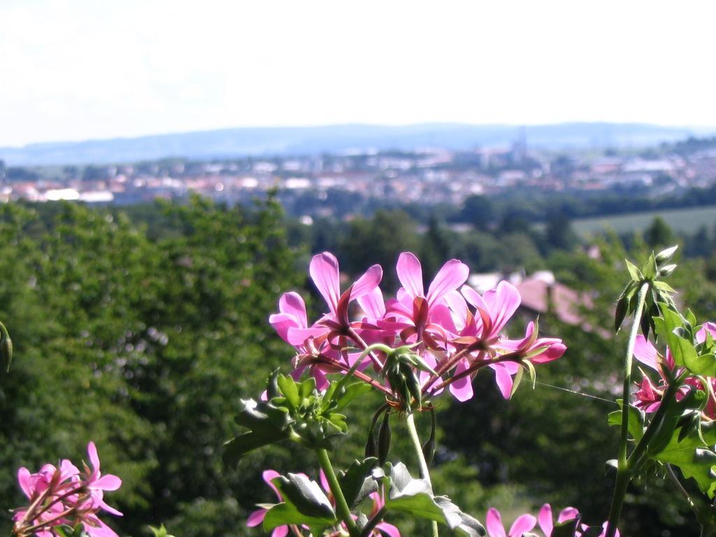 Penzion Kalina Tábor Camera foto